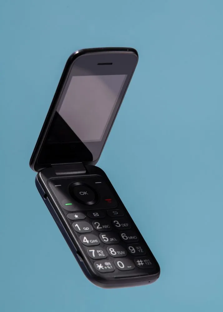 dumbphone 2